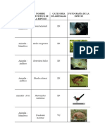 Investigación Manejo de Flora y Fauna Ii Bim