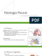 SEM 13 Patología Pleural