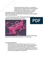 Karakteristik dan peranan bakteri