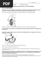 atividade sist. digestório e muscular