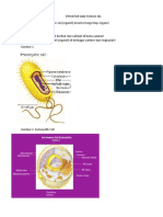 Lks 3.1.2 Struktur Dan Fungsi Sel