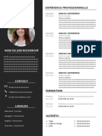 104 Modele CV Vitae Assistant