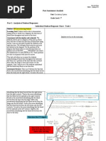 Post Assessment Analysis