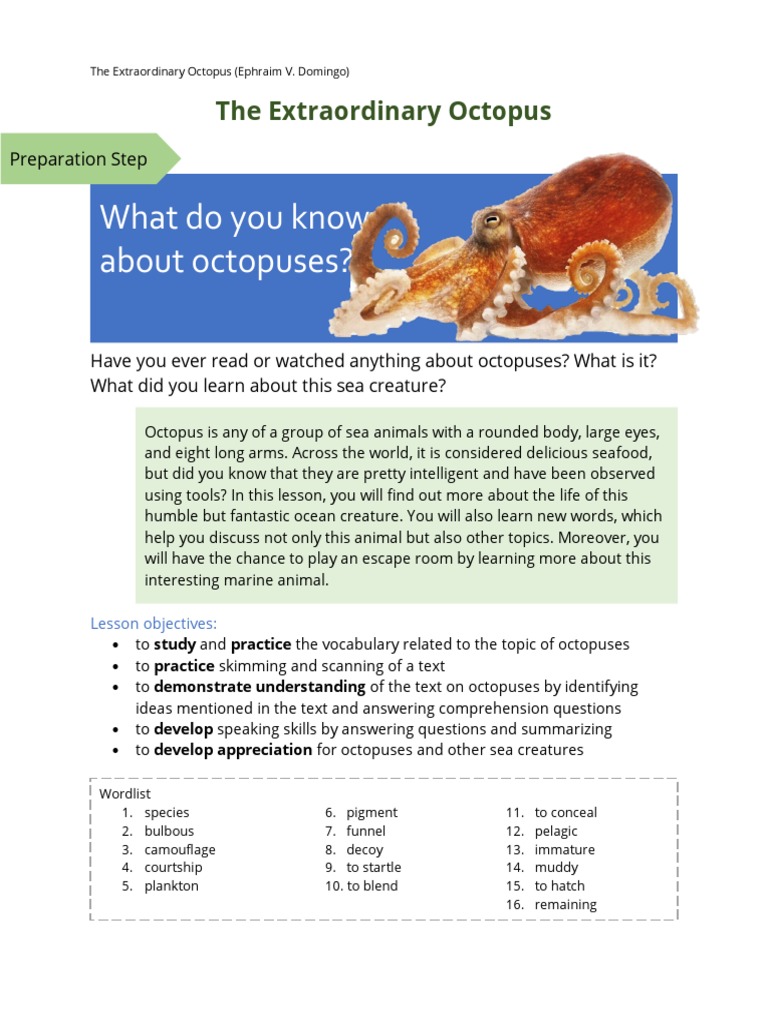 The Extraordinary Octopus | PDF