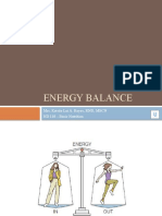 13 - Lecture #8 - Energy Balance