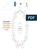 Structura organizatorica A1.1_exp impl_Alexe M_Radomir L