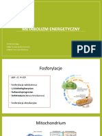 4_metabolizm Energetyczny (5)