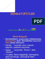 Ders - Dematofitler