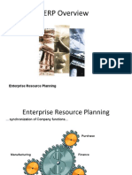 ERP Overview: Enterprise Resource Planning