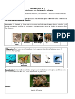 Efectos de La Rotacion Sobre Los Animales PRIMERO