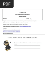 Guia Sistema Digestivo 5° Basico LRT