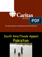 Pakistan Floods Information