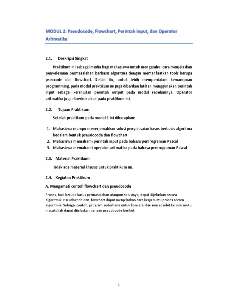 PSEUDOCODE, FLOWCHART, INPUT, AND ARITHMETIC OPERATORS | PDF