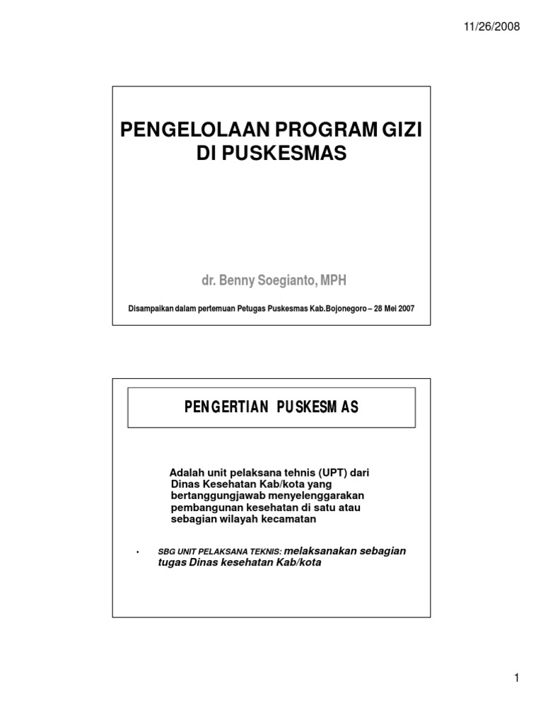 Program Gizi | PDF