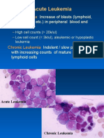 Acute Leukemia: Increase of Blasts (Lymphoid, Myeloid/meg Etc.) in Peripheral Blood and Bone Marrow