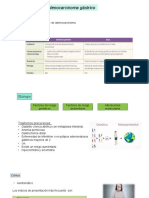 Adenocarcinoma gástrico: Factores, diagnóstico y tratamientos