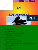 Reproduccion Sexual en Los Animales PDF