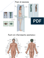 Terminologia_anatomica-tessuti_scheletrici