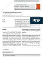 Seminars in Diagnostic Pathology: Shawn R. Lockhart, Jeannette Guarner