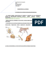 Pauta Niveles de Organización Biológica Orlando