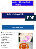 Otolaryngology-Head & Neck Surgery: by DR Abdissa (MD)