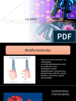 MAC Patologias