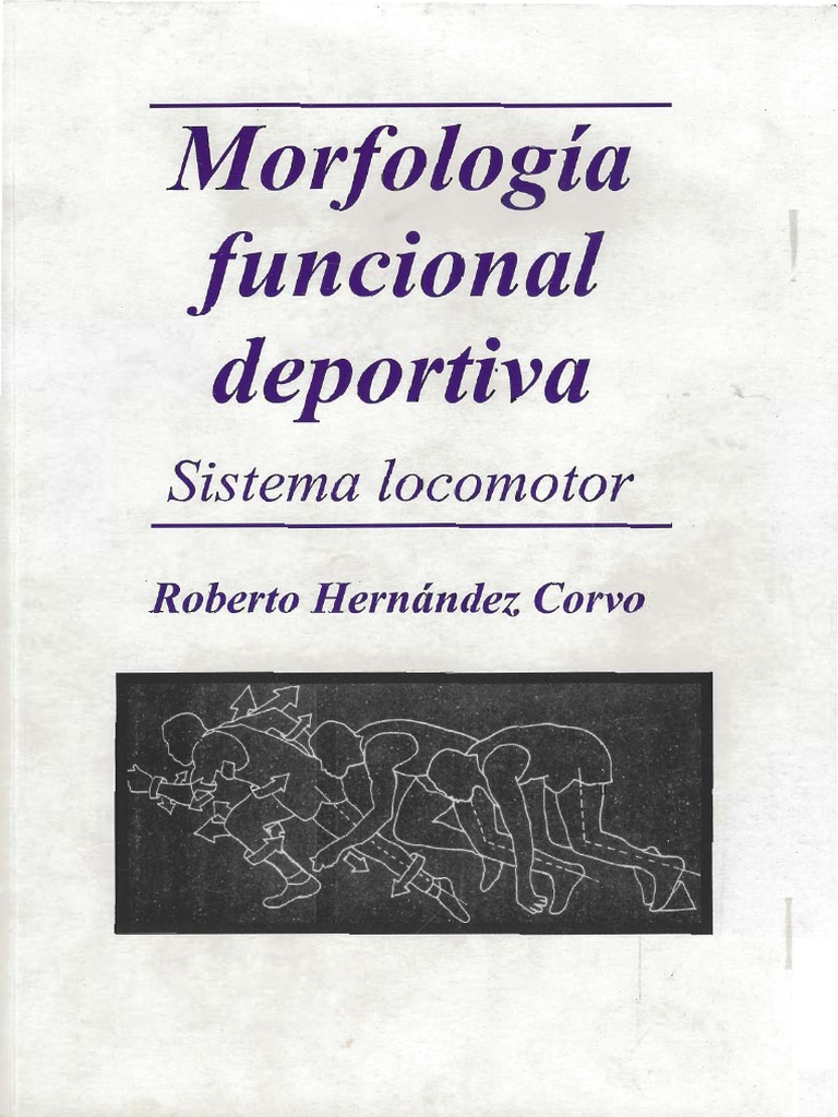 Libro Morfolog a Funcional Deportiva PDF Neurociencia Sistema 