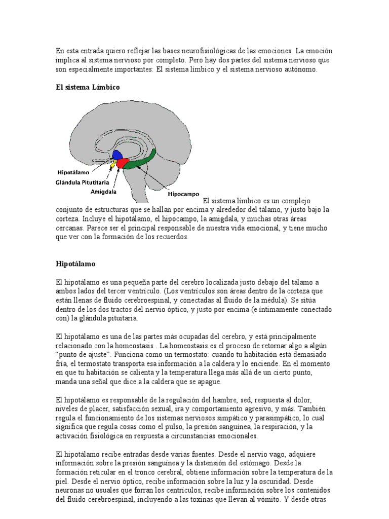 Bases Neurofisiológicas de Las Emociones | PDF | Sistema límbico ...