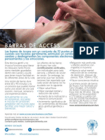 AccessBars USLetter Print ART2B-Spanish