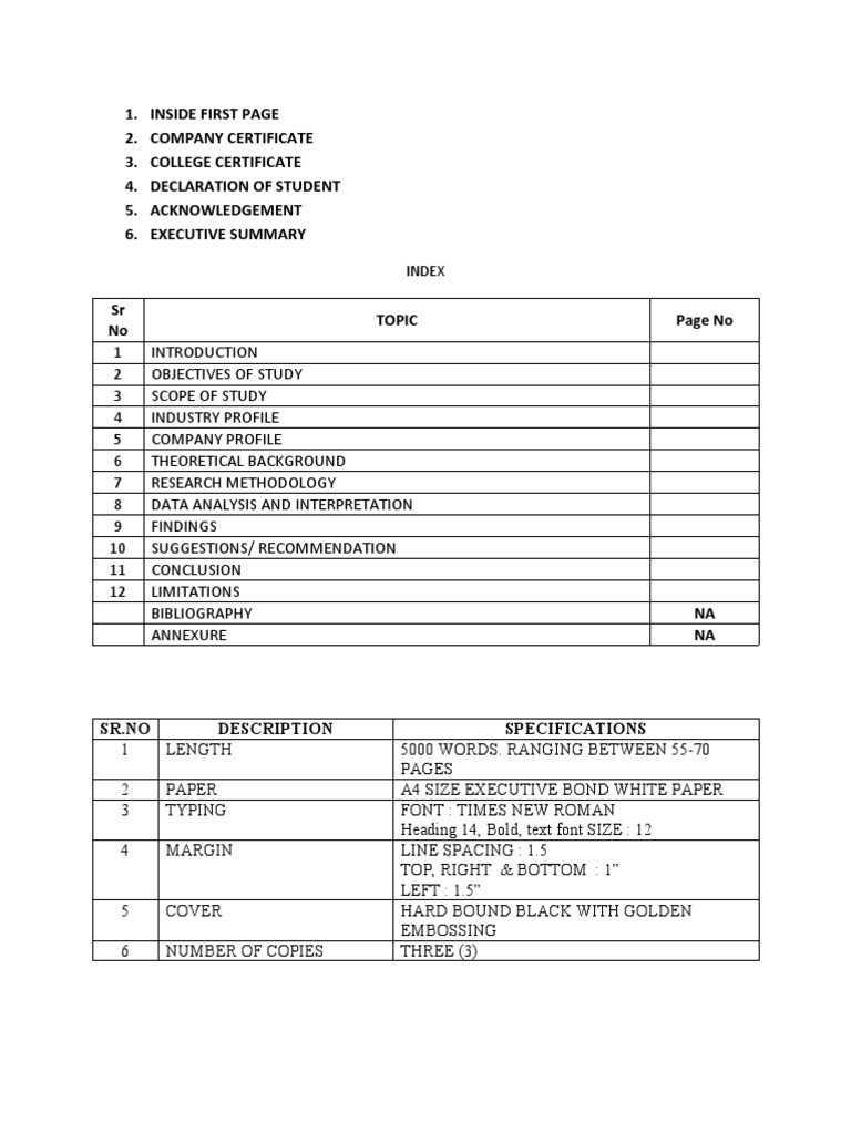 Sonalika Typing Master Project Guidelines | PDF