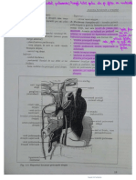 1 Pediculii pulmonari - alc-âtuire, raporturi extrinseci +Öi intrinseci
