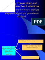 Copy of STI_RTI 2007