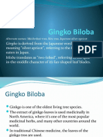 Gingko Biloba: A Living Fossil With Promising Medicinal Uses