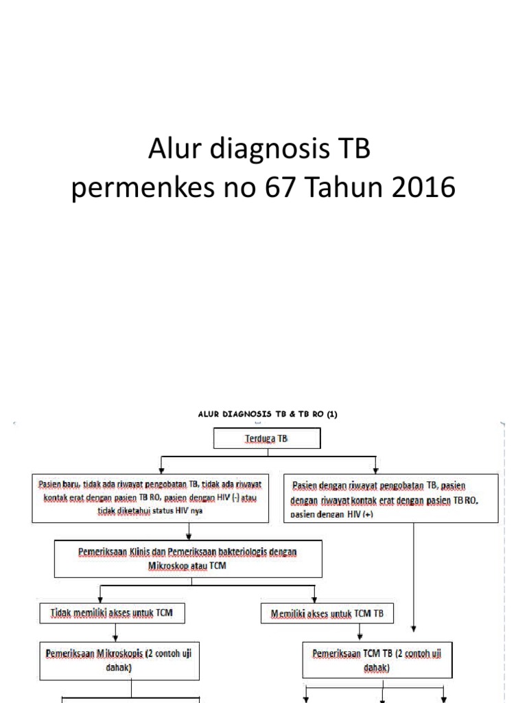 Alur Diagnosis TB | PDF
