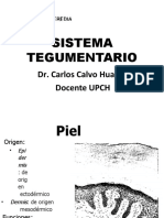 MF Clase I-4 SistemaTegumentario 2021