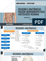 Regiones Corporales