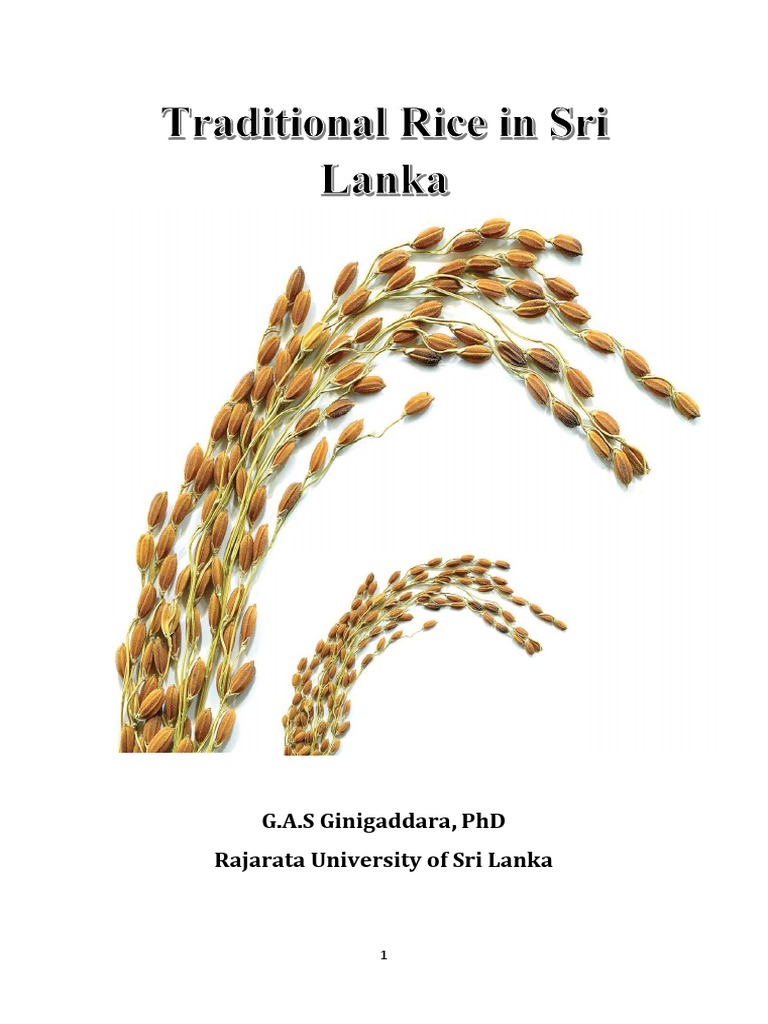Traditional Rice Varieties in Sri Lanka | PDF | Agriculture | Rice