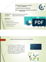 Proyecto de Desarrollo