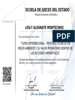 624c62d5c7806-LESLY-ALDUNATE-MONTECINOS