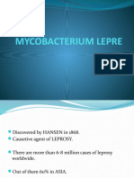 Mycobacterium Lepre