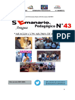 Seminario N° 43