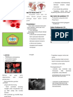 PDF Leaflet Mioma Uteri