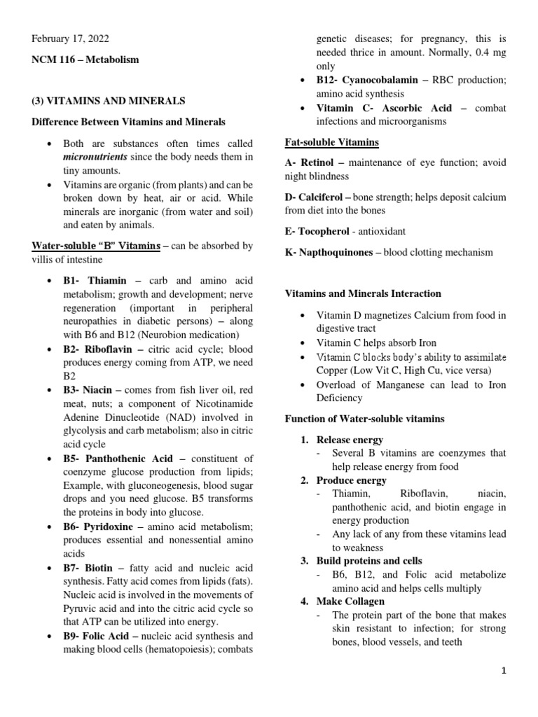 Understanding Vitamins and Minerals Their Functions, Interactions, and