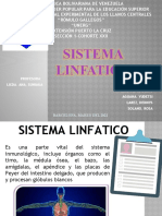 Sitema Linfatico