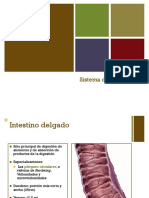 Digestivo 2