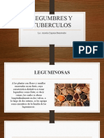 Legumbres y Tuberculos