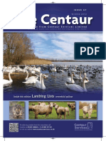 The Centaur: Lambing Lists