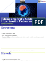 Edema Cerebral y SX HIC