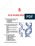 T 5 Acids Nucleics 1011