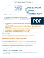 Desarrollo Profesional Boceto